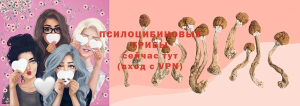 a pvp Алексеевка