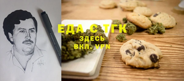 мет Алексин