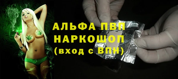 мет Алексин