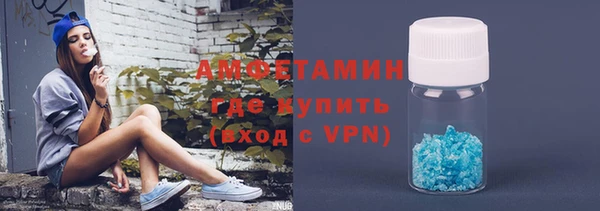 мет Алексин