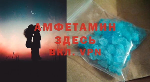 мет Алексин