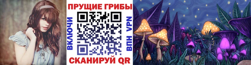 Галлюциногенные грибы MAGIC MUSHROOMS Фролово